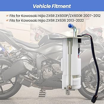 キハダ　　SAR PSA10】キハダ SAR トリプレットビート【ポケカ】※PSAケースあり